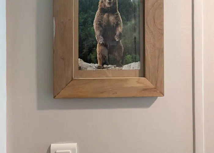 Au Petit Bois Appartement Chamonix