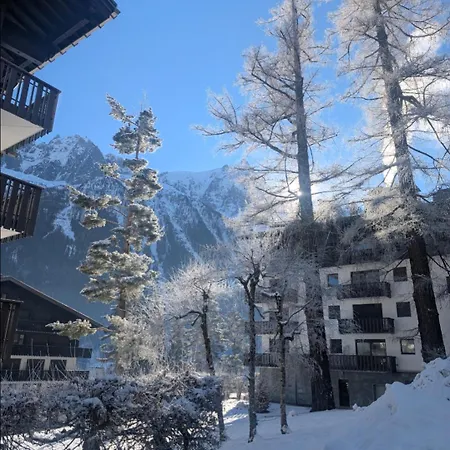 Au Petit Bois Apartamento Chamonix Mont Blanc
