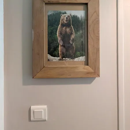 Au Petit Bois Apartment Chamonix