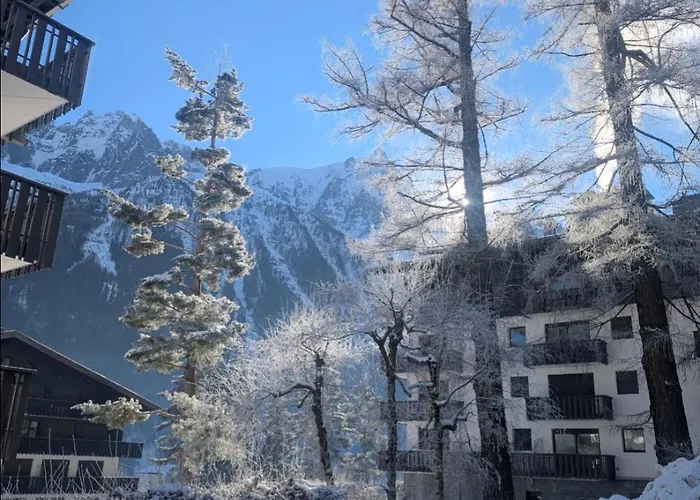 Au Petit Bois شقة شامونكس